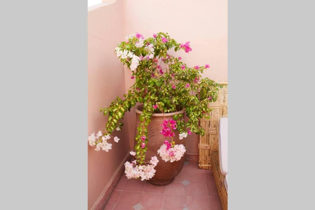 Maison Privé Rosa Au Coeur De Marrakech